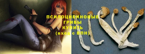 скорость mdpv Новодвинск