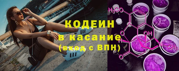 хмурый Алзамай