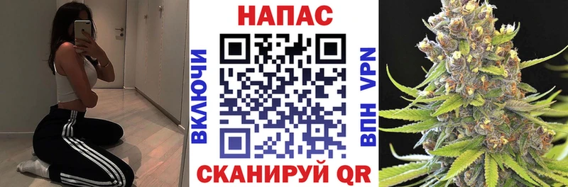 Каннабис сатива  хочу   Белебей 